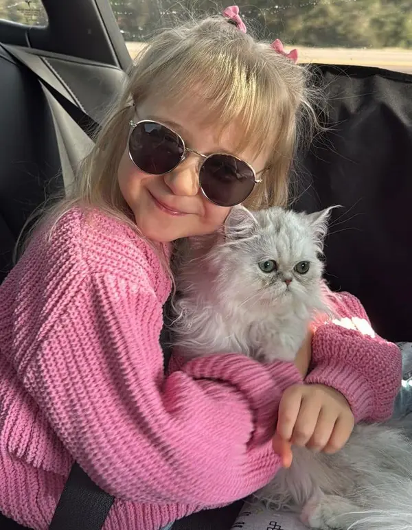 A Texas family with their temperament-matched doll-face Persian kitten