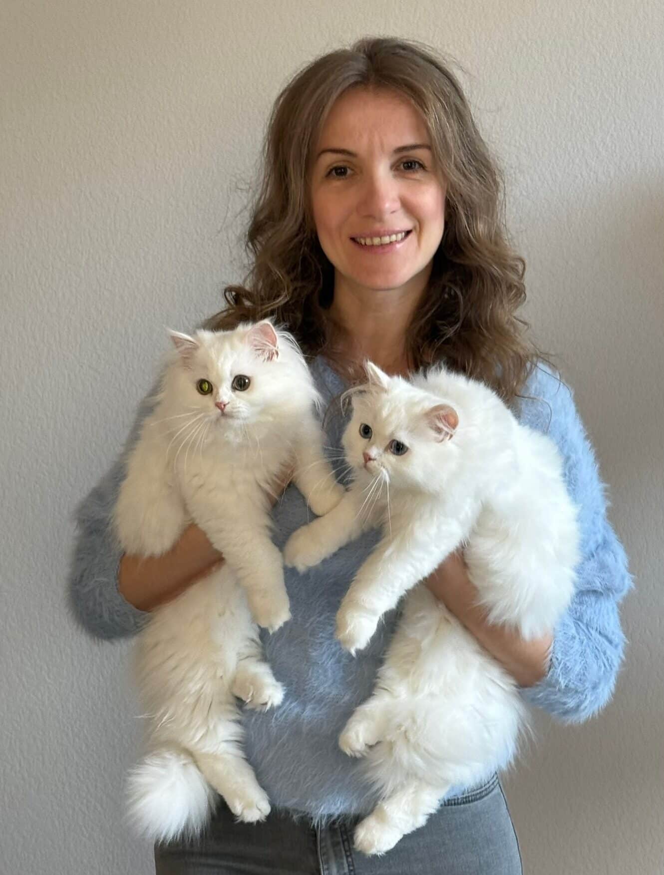 Iryna with our foundation Persian cats — the beginning of our breeding program