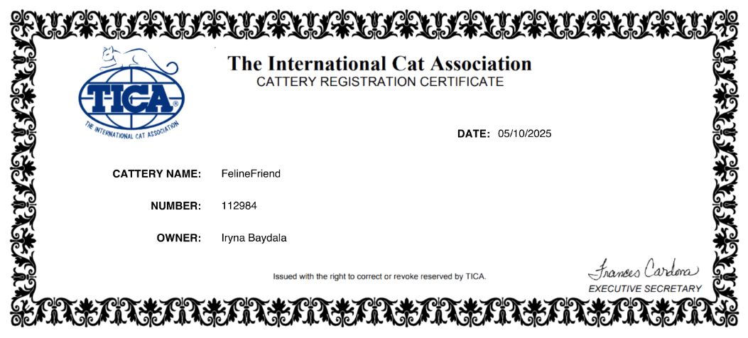 TICA Registered certificate